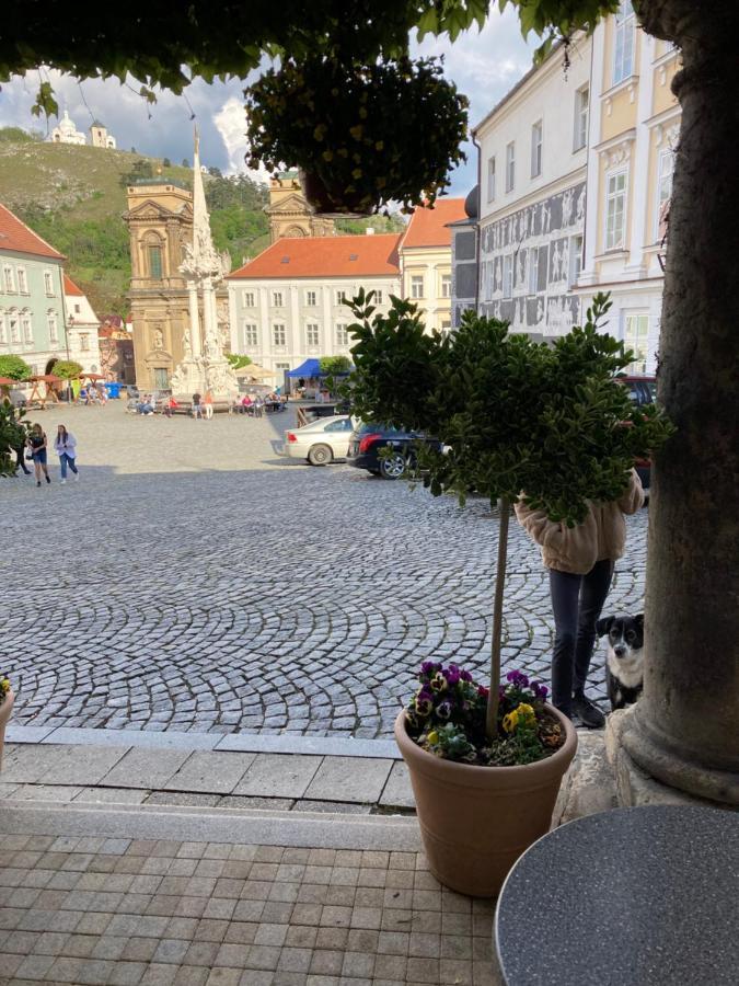 Guesthouse Mikulas Mikulov - Free Parking In The City Center 外观 照片