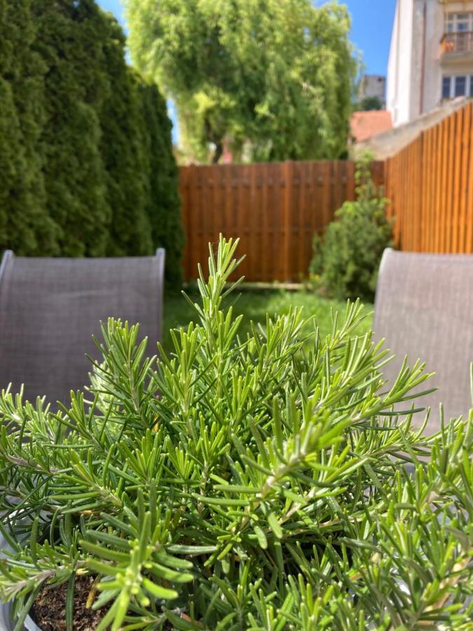 Guesthouse Mikulas Mikulov - Free Parking In The City Center 外观 照片