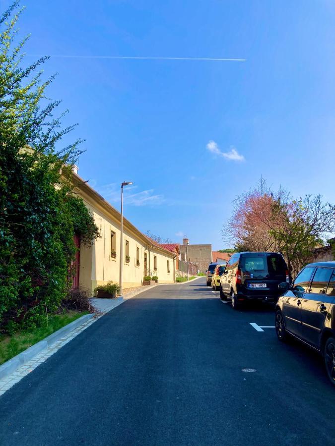 Guesthouse Mikulas Mikulov - Free Parking In The City Center 外观 照片