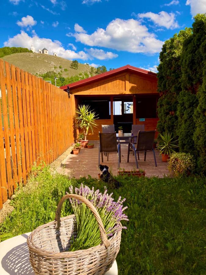 Guesthouse Mikulas Mikulov - Free Parking In The City Center 外观 照片