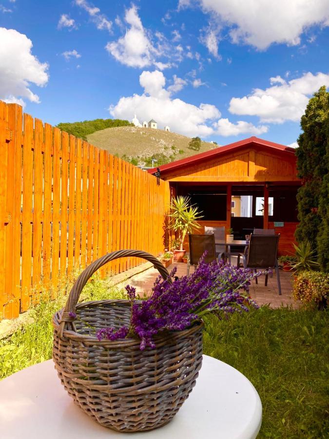 Guesthouse Mikulas Mikulov - Free Parking In The City Center 外观 照片