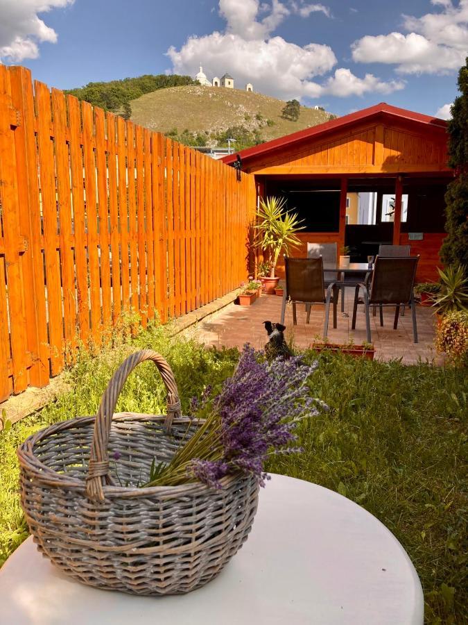 Guesthouse Mikulas Mikulov - Free Parking In The City Center 外观 照片