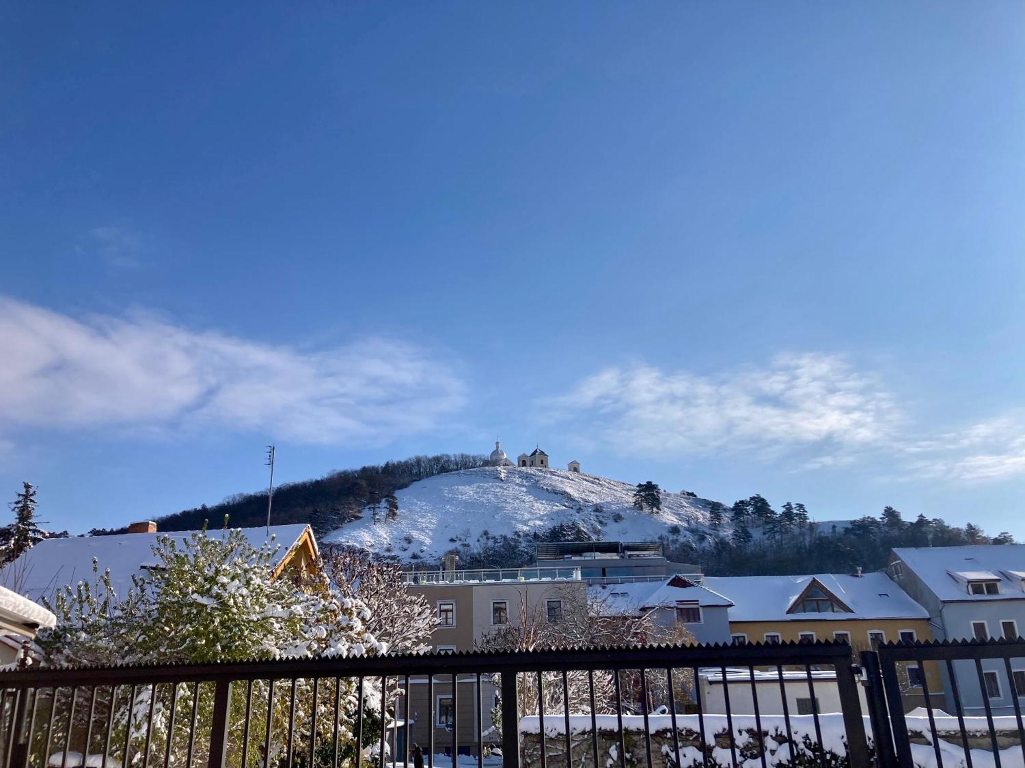 Guesthouse Mikulas Mikulov - Free Parking In The City Center 外观 照片