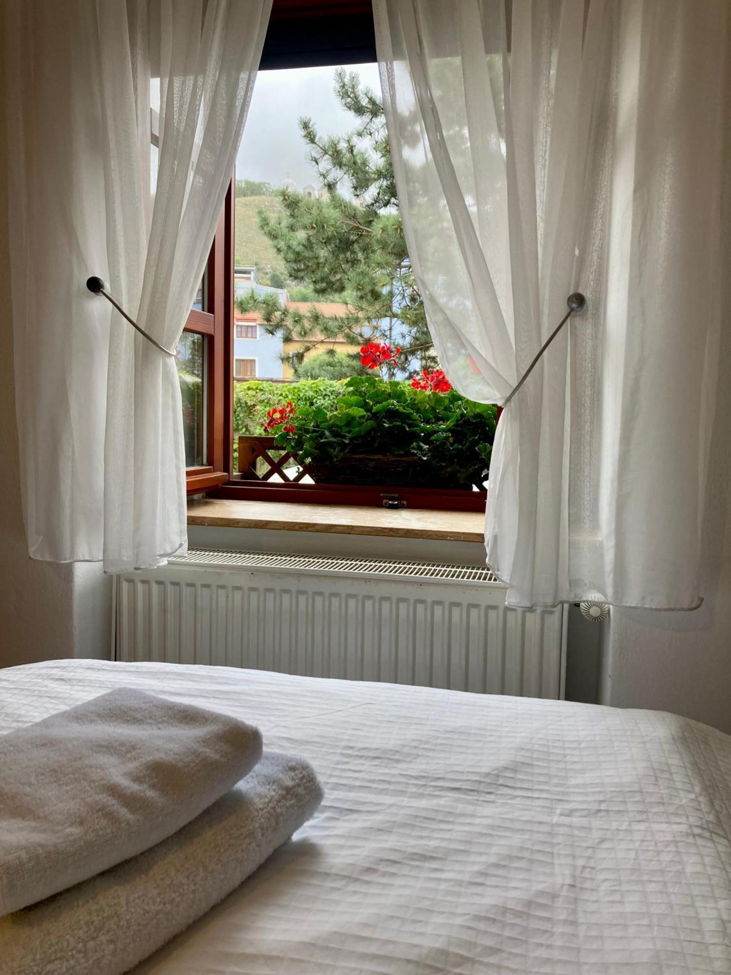 Guesthouse Mikulas Mikulov - Free Parking In The City Center 外观 照片